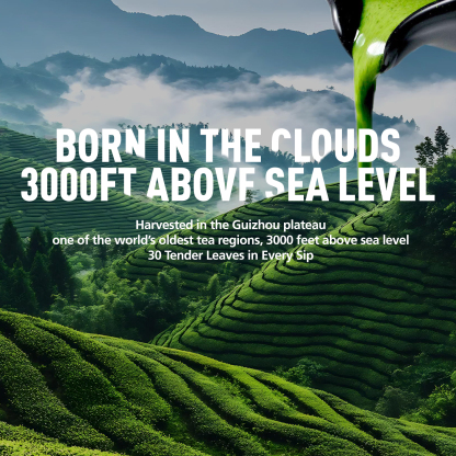 Premium Ceremonial Grade Matcha