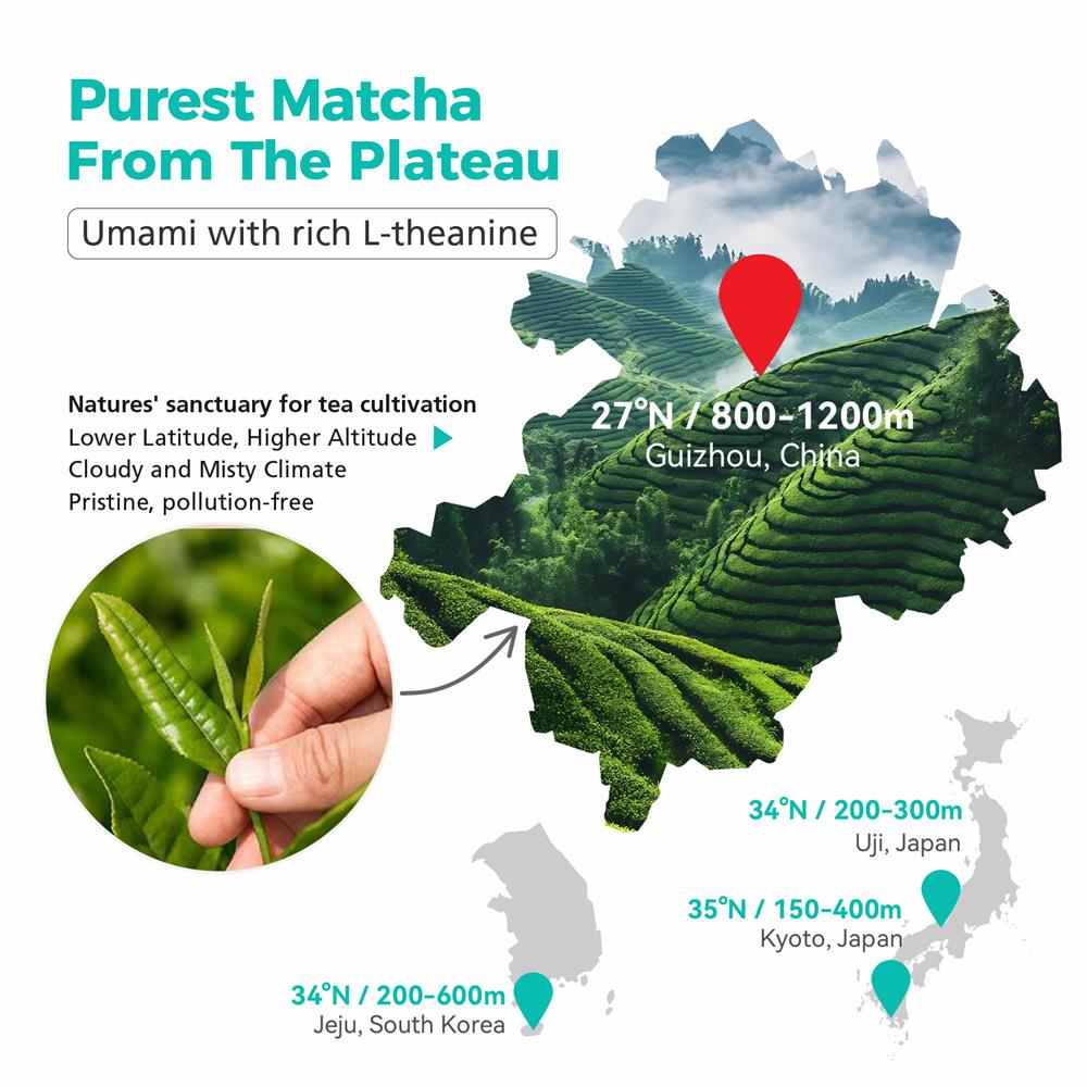 Premium Ceremonial Grade Organic Matcha