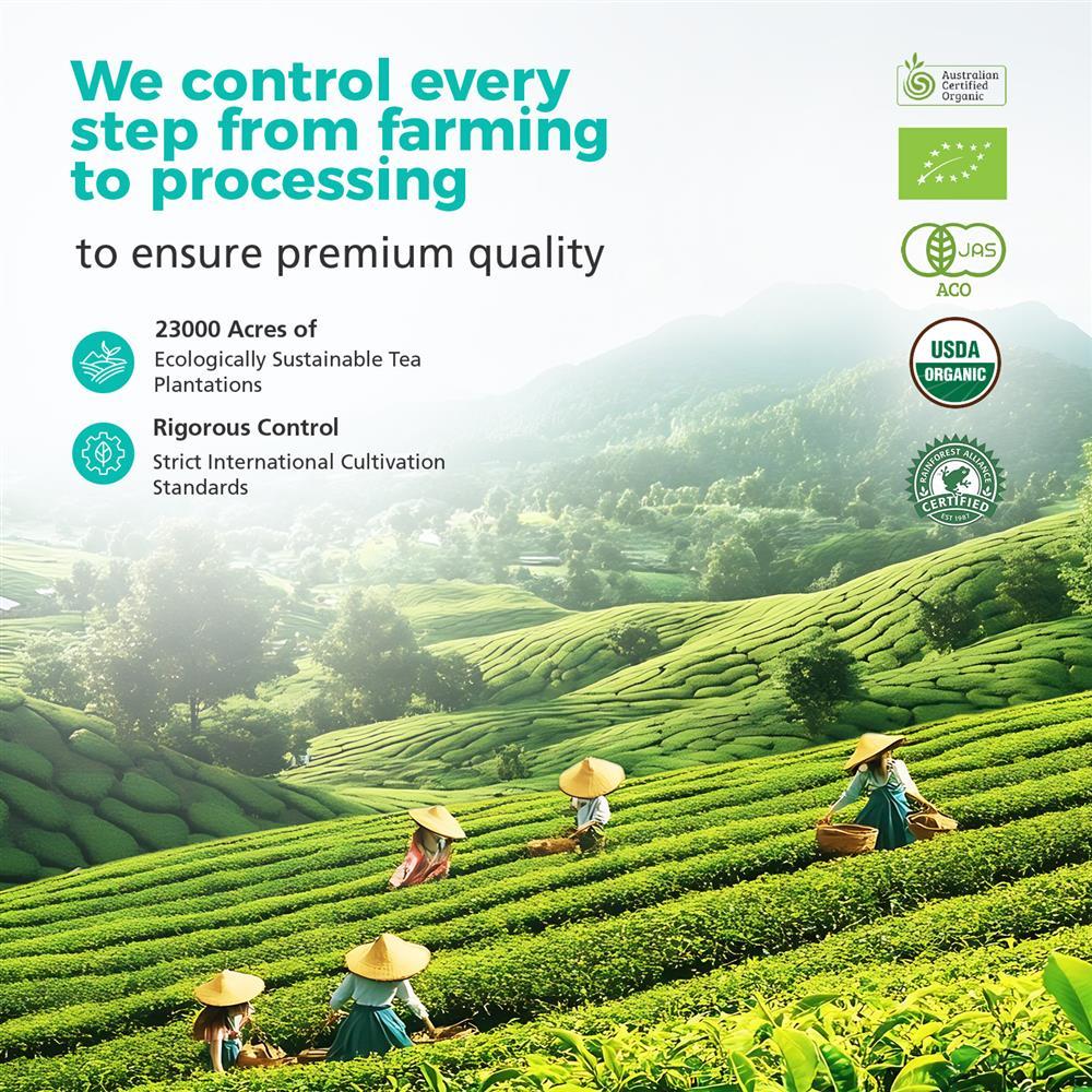 Premium Ceremonial Grade Organic Matcha