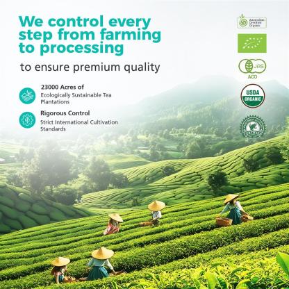 Premium Ceremonial Grade Organic Matcha