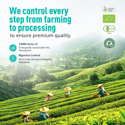 Premium Ceremonial Grade Matcha