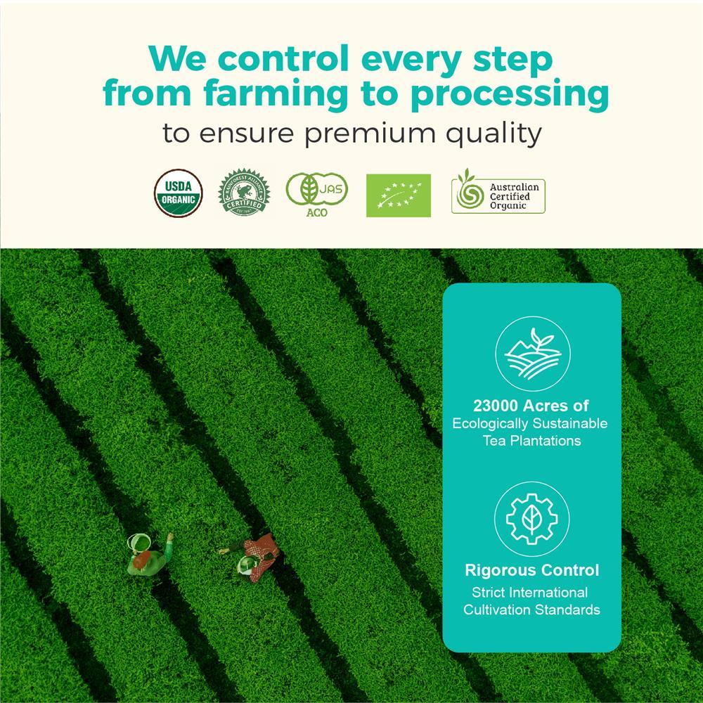 Premium Ceremonial Grade Organic Matcha