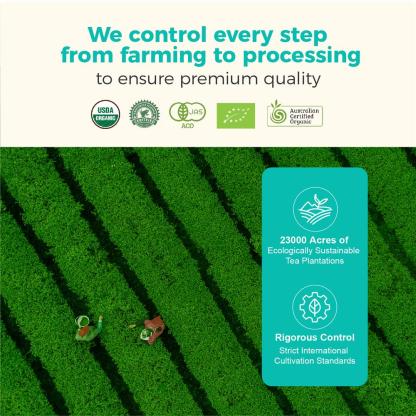 Premium Ceremonial Grade Organic Matcha