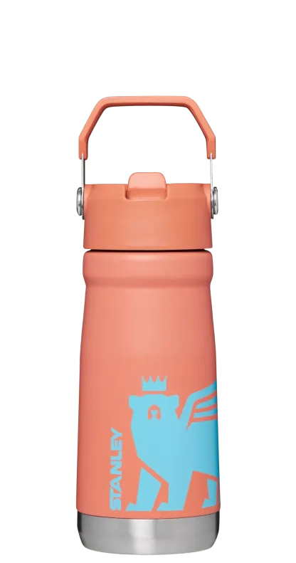 The Wild Imagination IceFlowTM Flip Straw Water Bottle | 17 OZ