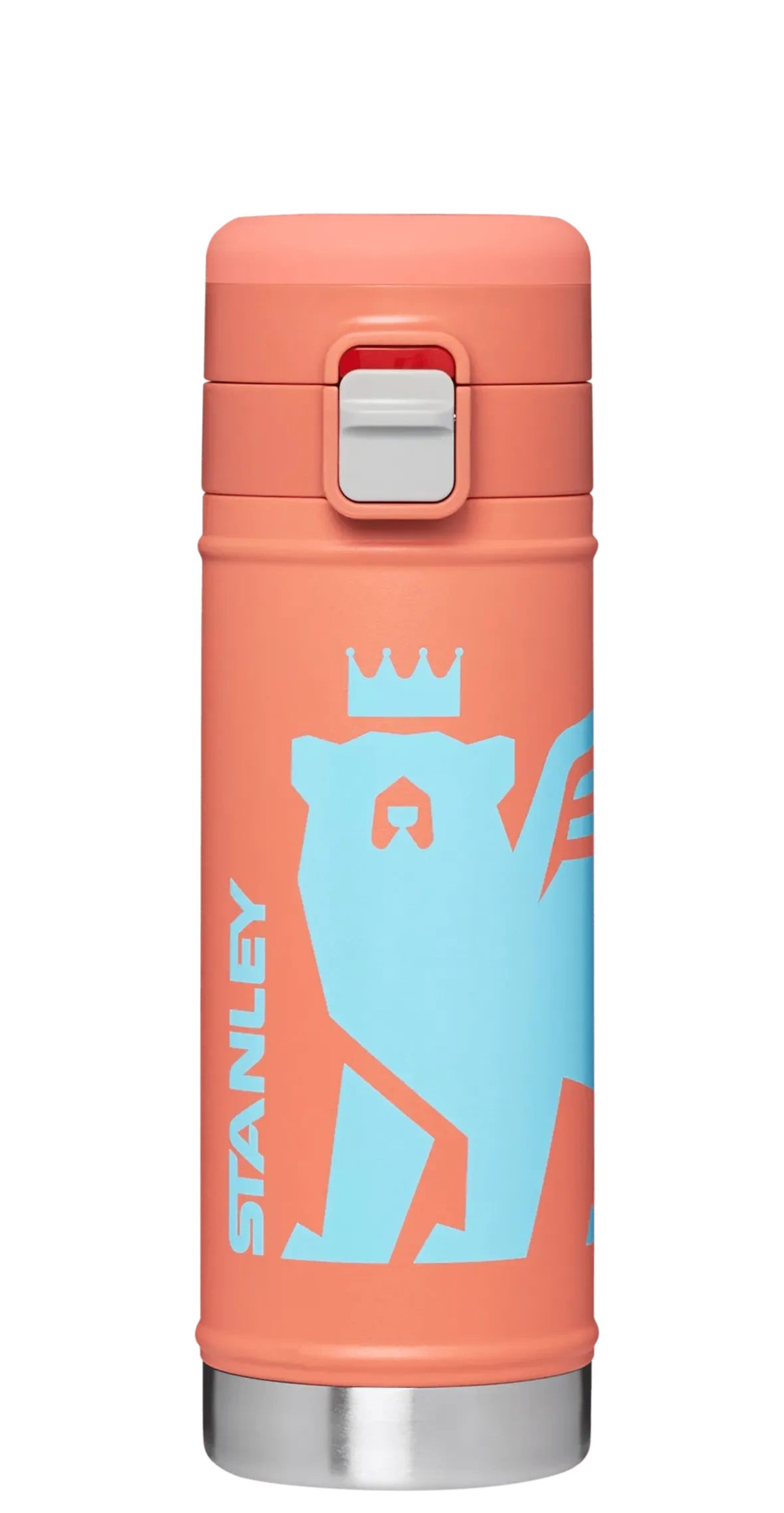 The Wild Imagination FlowsteadyTM Big Bear Bottle | 17 OZ