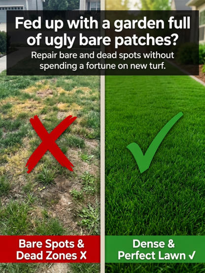 【💯Awarded the highest Dutch bio-grade quality certification!💯】🔥Ultra-fast 3-day sprout grass seed🔥👍Buy one get one free, 98.5% germination rate, 99% lawn recovery!👍