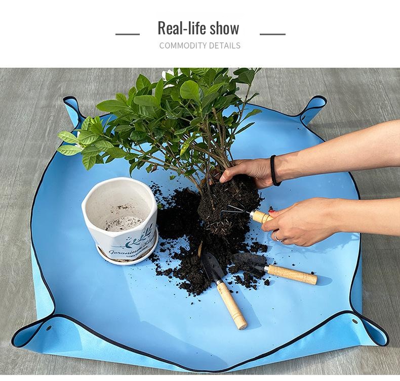 Versatile soil mat for household plant care