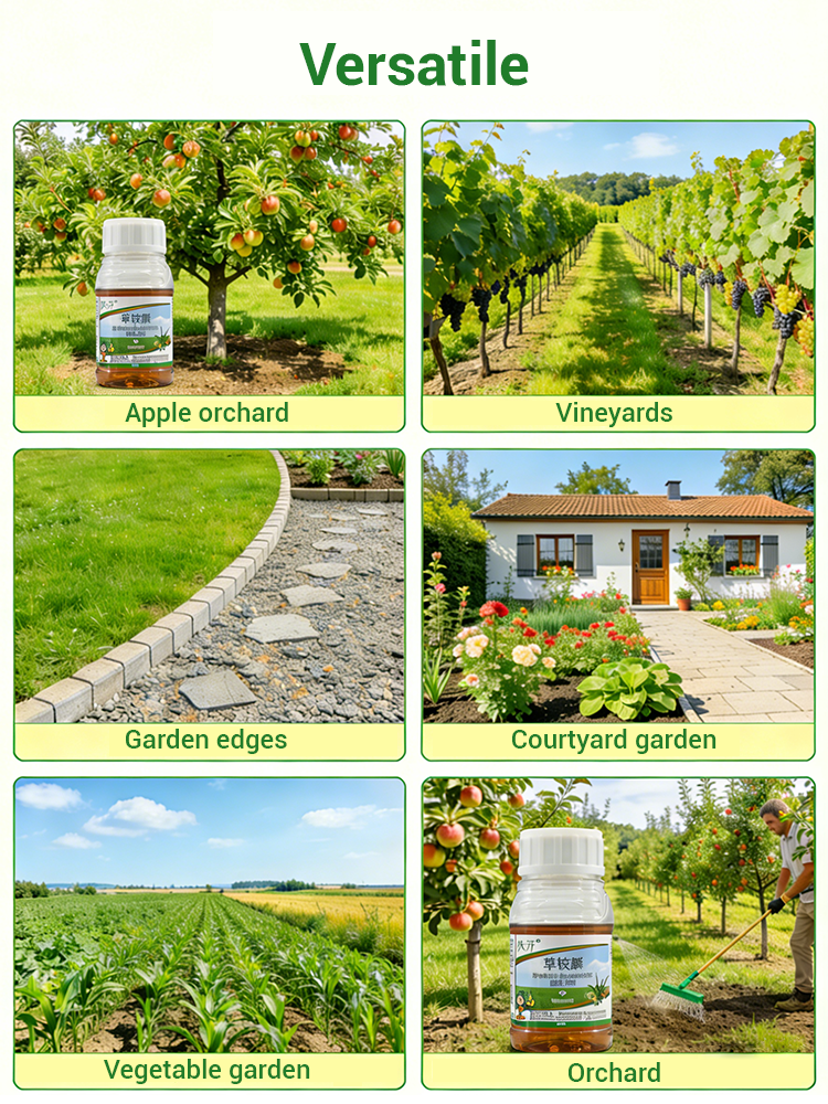 ✨ For a Burger Price: Professional Glyphosate-Free Weed Killer for Yards and Driveways ✨