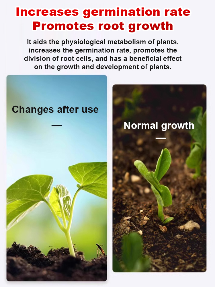 ⚡[30% Increase in Germination Rate] [German Tech] Pro-Grade Soil Revitalizer & Growth Booster – End Soil Compaction & Achieve Lush, Vibrant Growth in Days⚡
