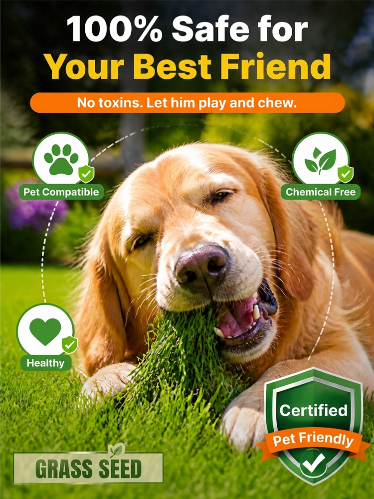【💯Awarded the highest Dutch bio-grade quality certification!💯】🔥Ultra-fast 3-day sprout grass seed🔥👍Buy one get one free, 98.5% germination rate, 99% lawn recovery!👍