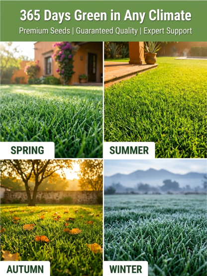 【💯Awarded the highest Dutch bio-grade quality certification!💯】🔥Ultra-fast 3-day sprout grass seed🔥👍Buy one get one free, 98.5% germination rate, 99% lawn recovery!👍