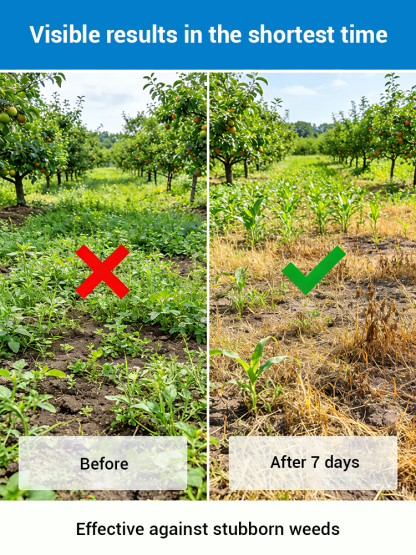 ✨ For a Burger Price: Professional Glyphosate-Free Weed Killer for Yards and Driveways ✨