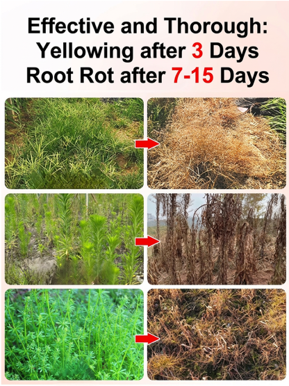 🌿 For the Cost of 1 Lawn Mowing: Stop Weeds for 5 Years. Zero Regrowth or 2X Refund! BOGO ✅✨🌿 For the Cost of 1 Lawn Mowing: Stop Weeds for 5 Years. Zero Regrowth or 2X Refund! BOGO ✅✨