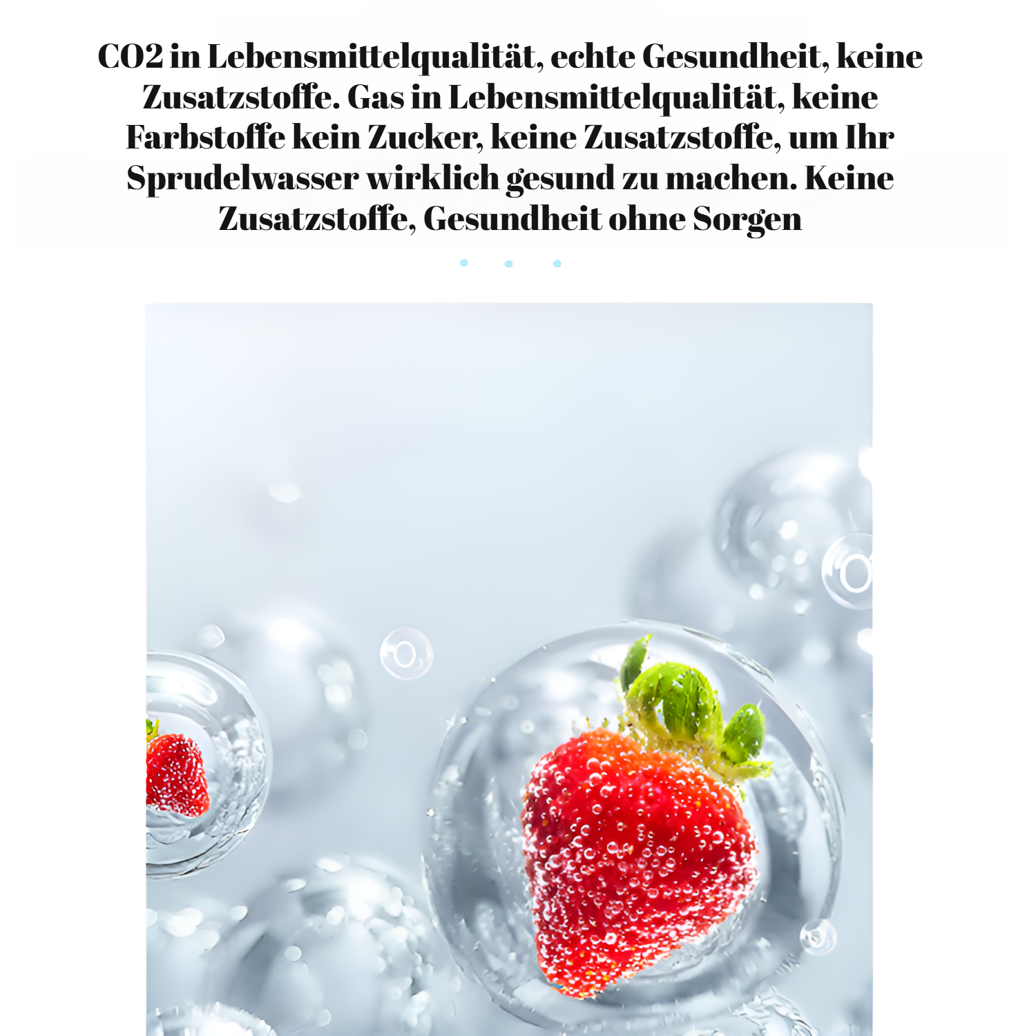 Sprudelwasserbereiter für unterwegs