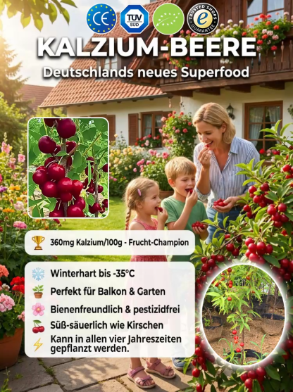 Natürliche Kalziumergänzung Eu-Li-Kalziumfrucht-Sämling