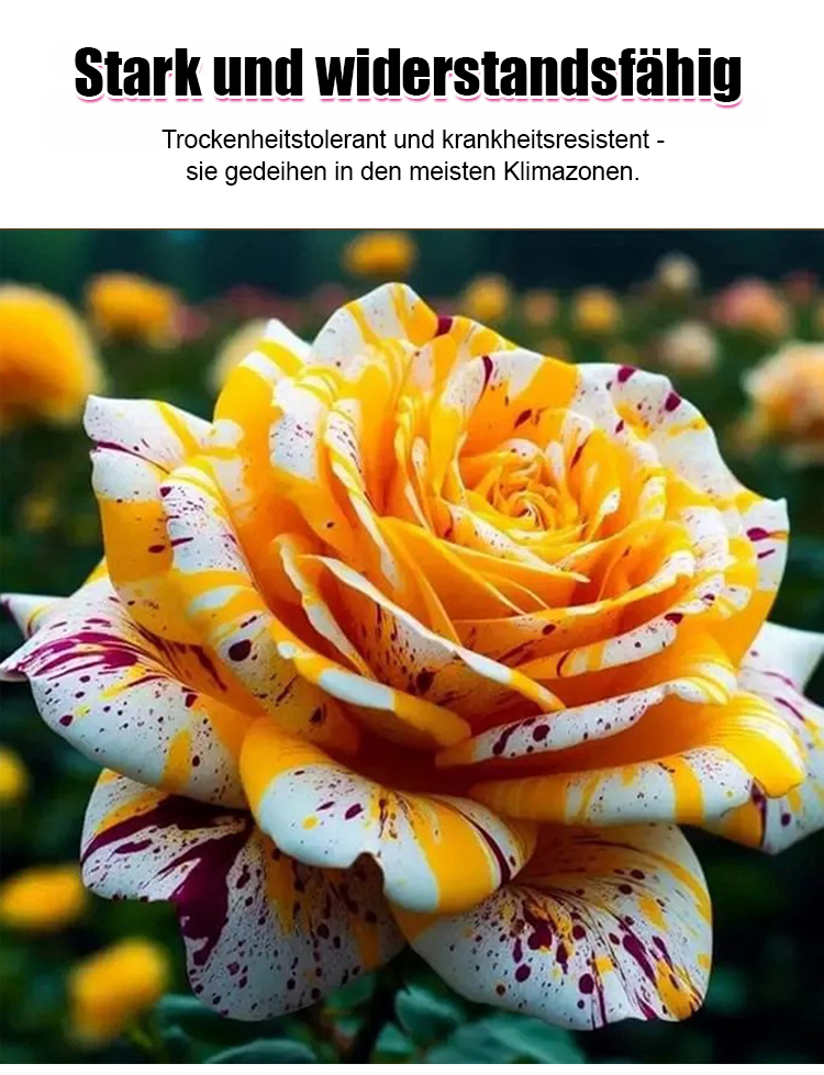 9398d9698e07587267c55d5f6ad14c4963200112841241010542057DE2d4b483cf2b03b73bd563412eac4f7179 (1).jpg