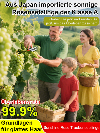 Premium-Traube ShineMuscat: 3-jährige Rebe, kernlos mit feinem Litschi-Aroma.