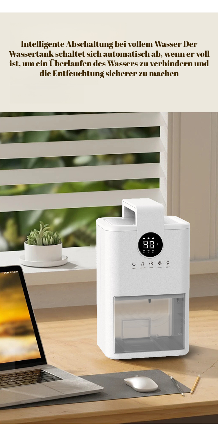 Benutzerfreundlicher Luftentfeuchter für Zuhause