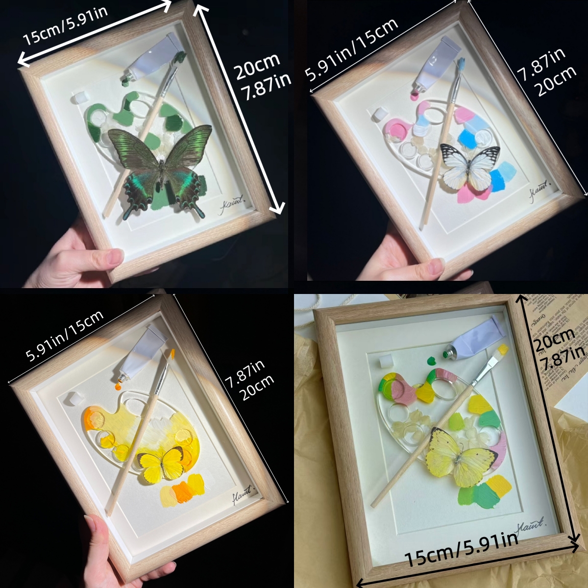 2153 Boutique series Real Green Papilio Maackii Butterfly Specimen Hand Painted Art Shadow Box Framed Entomology Display Unique Home Decor Wall Art Gift for Nature Lover