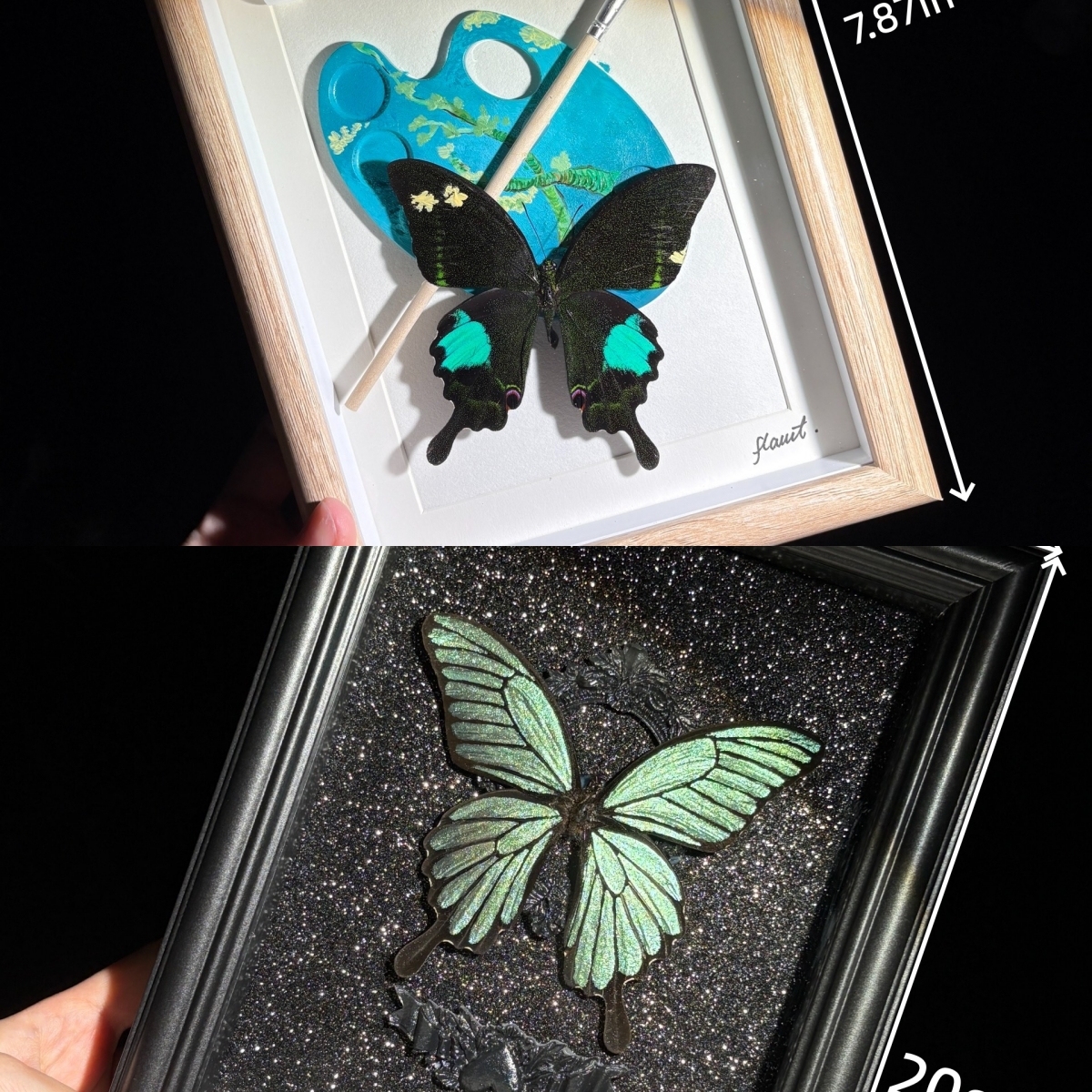 2151 Boutique series Real Butterfly Specimen Swallowtail on Hand Painted Board Insect Art Display Animal Taxidermy Frame Decor Home Gift 