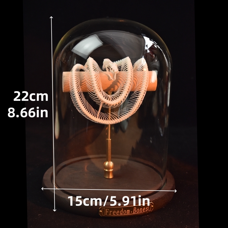 2015 TaxidermyCoiled Serpentine Bone Structure Wood Frame Victorian Curio Cabinet Mythical Creature Display Gothic Anatomy Study Artistry