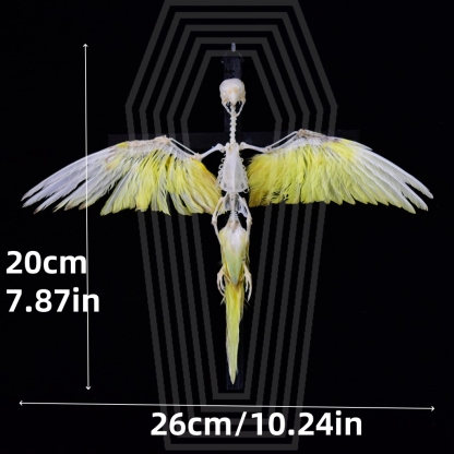 2026 Taxidermy Avian Cruciform Skeletal Art Gothic Reliquary Display Bone Configuration Victorian Ornithology Replica Ecclesiastical Bird