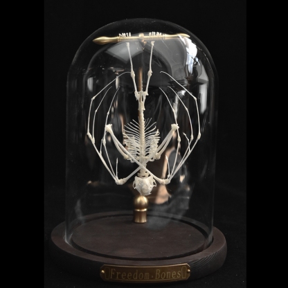 2113 Boutique series bat Bone Taxidermy Home Decoration Hanging Animal Sculpture Collectibles Room Decoration Friends Lovers Birthday Gift