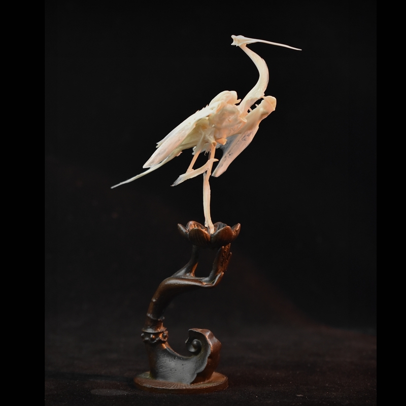2008 Taxidermy Artificial Bone Crane Figurine Craft Sculpture Oriental Home Decor Spiritual Symbol Artifact Shelf Display Mythical Replica