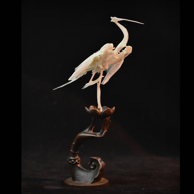 2008 Taxidermy Artificial Bone Crane Figurine Craft Sculpture Oriental Home Decor Spiritual Symbol Artifact Shelf Display Mythical Replica