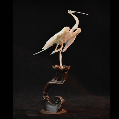 2008 Taxidermy Artificial Bone Crane Figurine Craft Sculpture Oriental Home Decor Spiritual Symbol Artifact Shelf Display Mythical Replica