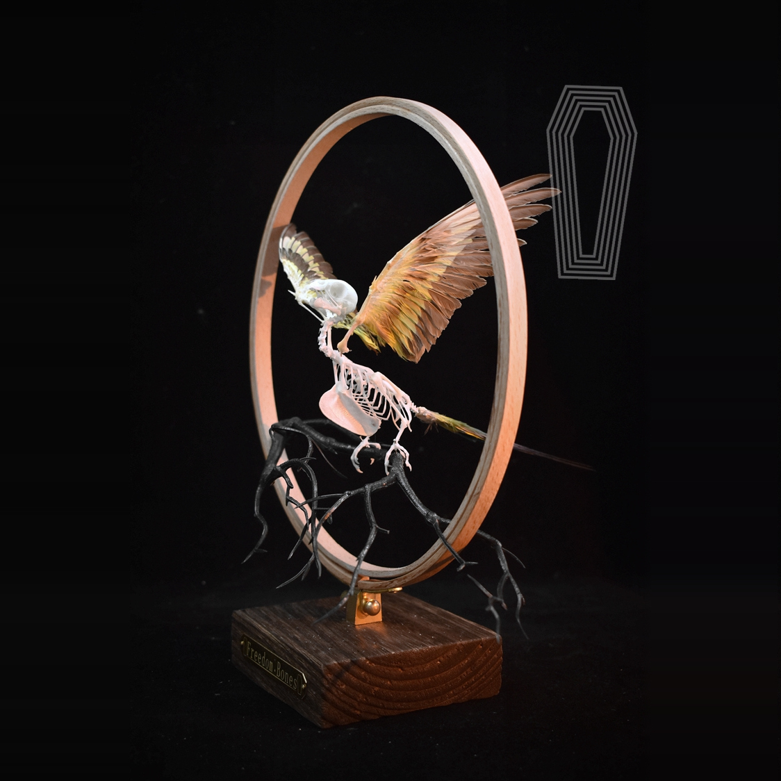 2027 Taxidermy Passerine Ossuary Shadowbox Gothic Anatomy Artifact Articulated Skeletal Artistry Ecclesiastical Bird Bone Assemblage