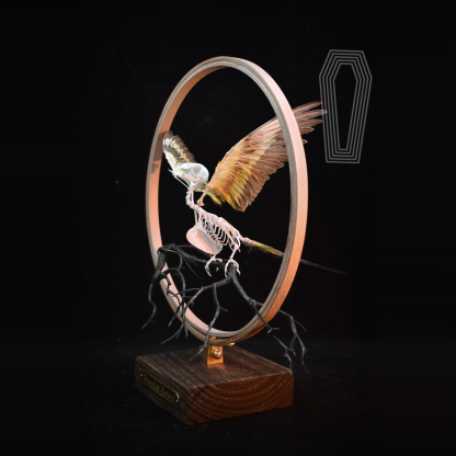 2027 Taxidermy Passerine Ossuary Shadowbox Gothic Anatomy Artifact Articulated Skeletal Artistry Ecclesiastical Bird Bone Assemblage