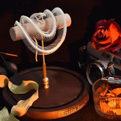 2015 TaxidermyCoiled Serpentine Bone Structure Wood Frame Victorian Curio Cabinet Mythical Creature Display Gothic Anatomy Study Artistry