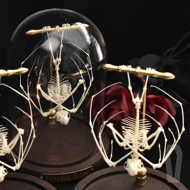 2113 Boutique series bat Bone Taxidermy Home Decoration Hanging Animal Sculpture Collectibles Room Decoration Friends Lovers Birthday Gift