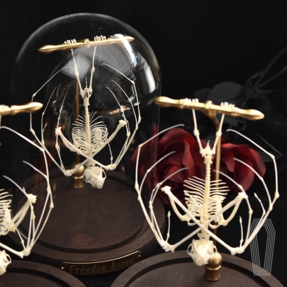 2113 Boutique series bat Bone Taxidermy Home Decoration Hanging Animal Sculpture Collectibles Room Decoration Friends Lovers Birthday Gift