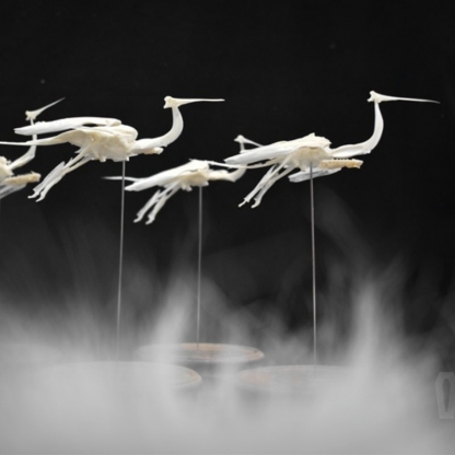 2008 Taxidermy Artificial Bone Crane Figurine Craft Sculpture Oriental Home Decor Spiritual Symbol Artifact Shelf Display Mythical Replica