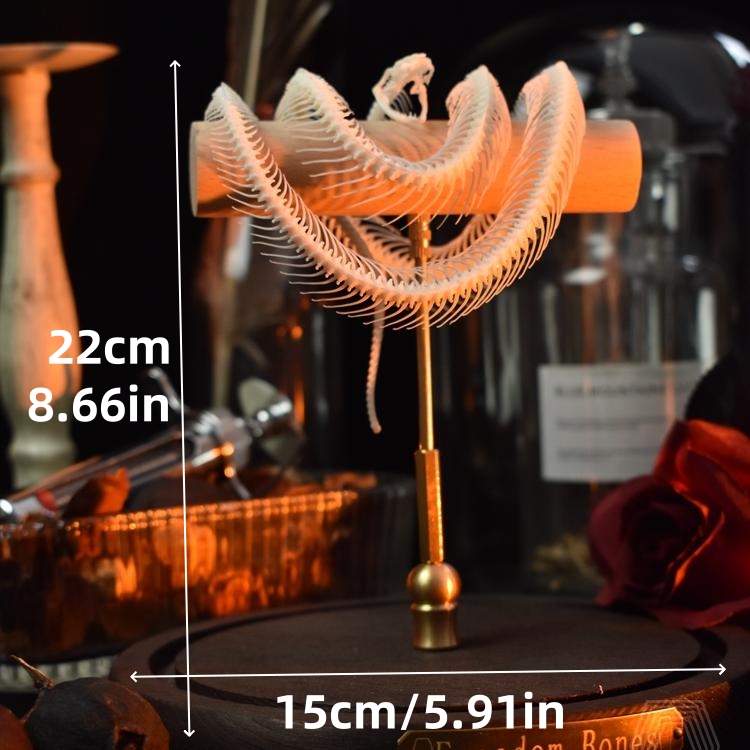 2015 TaxidermyCoiled Serpentine Bone Structure Wood Frame Victorian Curio Cabinet Mythical Creature Display Gothic Anatomy Study Artistry