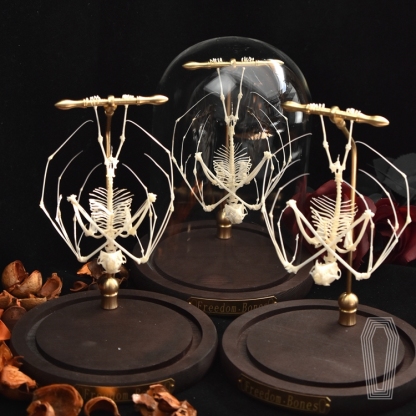 2113 Boutique series bat Bone Taxidermy Home Decoration Hanging Animal Sculpture Collectibles Room Decoration Friends Lovers Birthday Gift