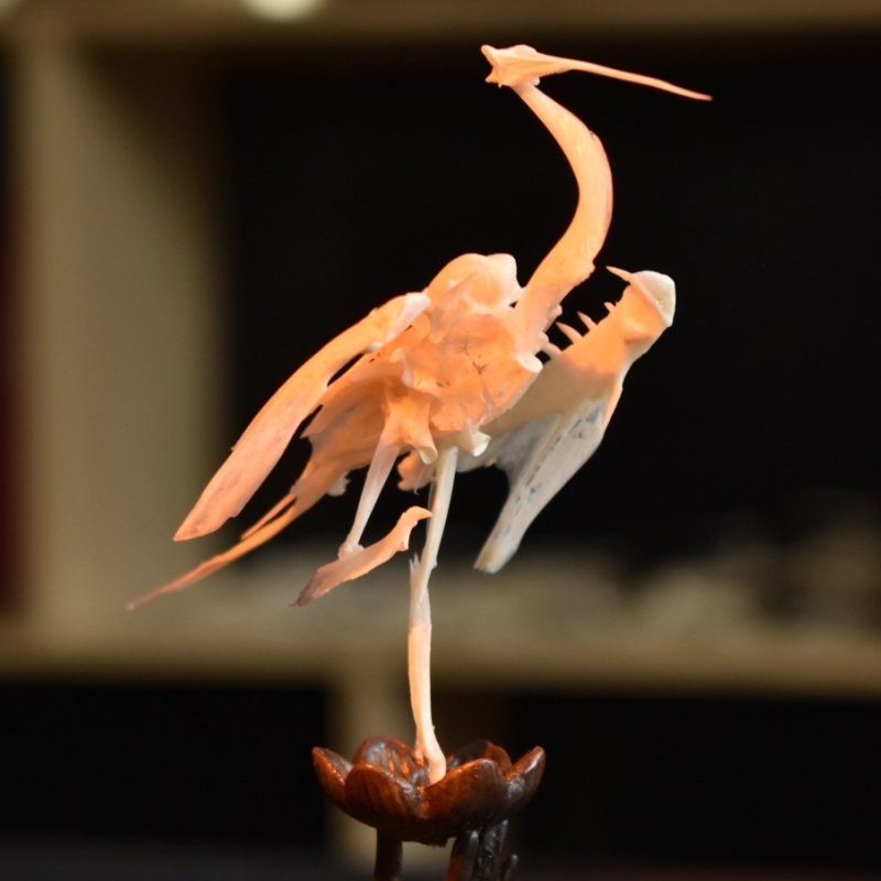 2008 Taxidermy Artificial Bone Crane Figurine Craft Sculpture Oriental Home Decor Spiritual Symbol Artifact Shelf Display Mythical Replica