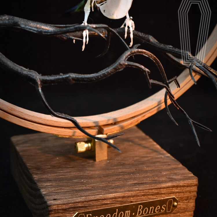 2027 Taxidermy Passerine Ossuary Shadowbox Gothic Anatomy Artifact Articulated Skeletal Artistry Ecclesiastical Bird Bone Assemblage