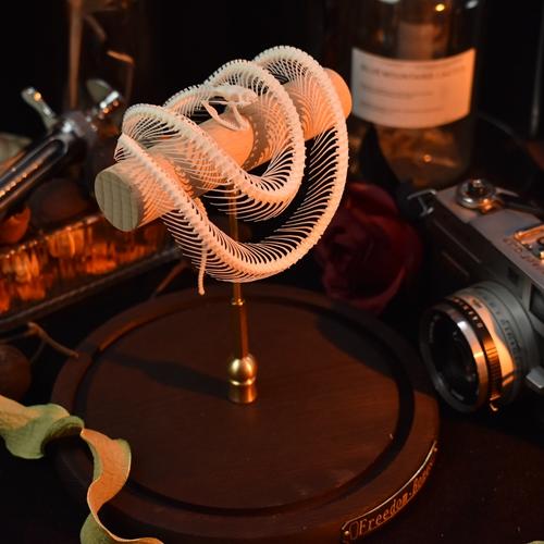 2015 TaxidermyCoiled Serpentine Bone Structure Wood Frame Victorian Curio Cabinet Mythical Creature Display Gothic Anatomy Study Artistry