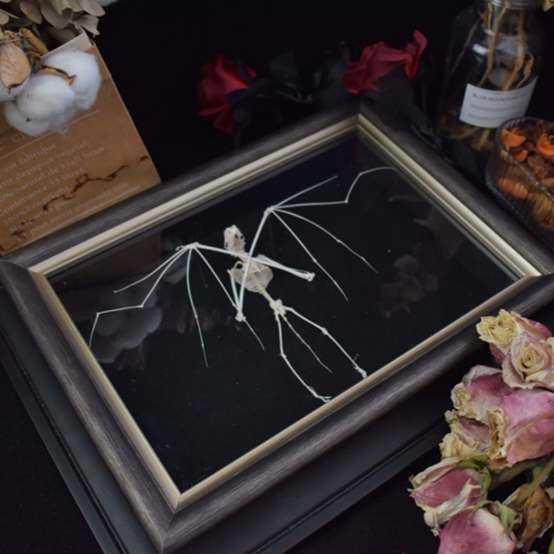 2126 Boutique series Bat Skeleton Art Wall Decor Gothic Home Display Frame Ethical Craft Non-Toxic Animal-Friendly Nocturnal Gothic Decor