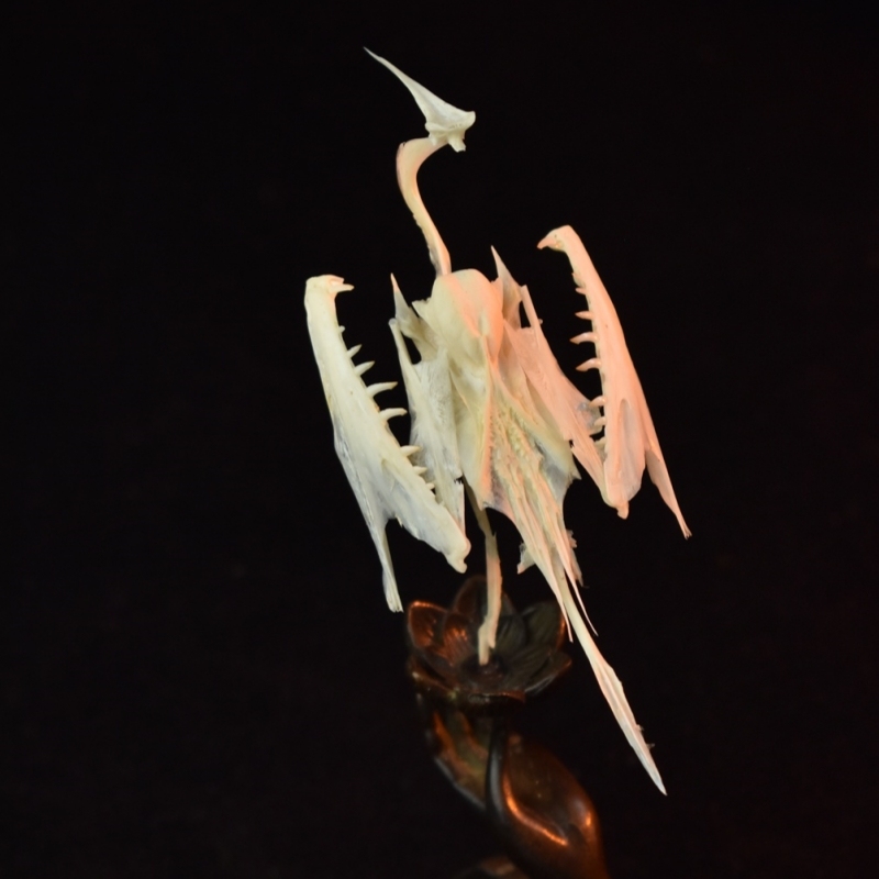 2008 Taxidermy Artificial Bone Crane Figurine Craft Sculpture Oriental Home Decor Spiritual Symbol Artifact Shelf Display Mythical Replica