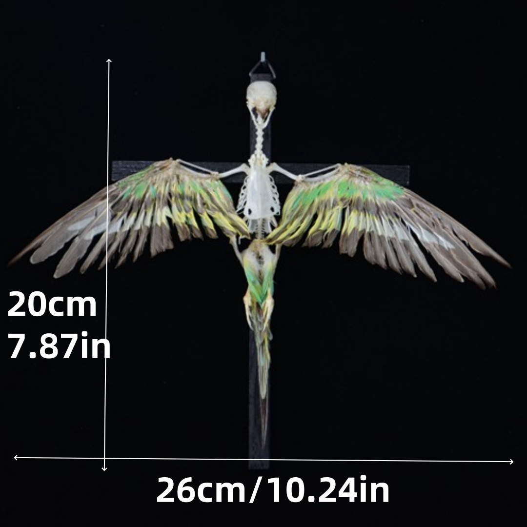 2026 Taxidermy Avian Cruciform Skeletal Art Gothic Reliquary Display Bone Configuration Victorian Ornithology Replica Ecclesiastical Bird