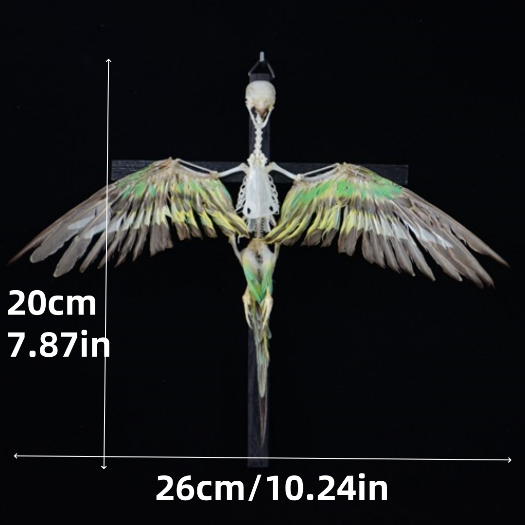 2026 Taxidermy Avian Cruciform Skeletal Art Gothic Reliquary Display Bone Configuration Victorian Ornithology Replica Ecclesiastical Bird