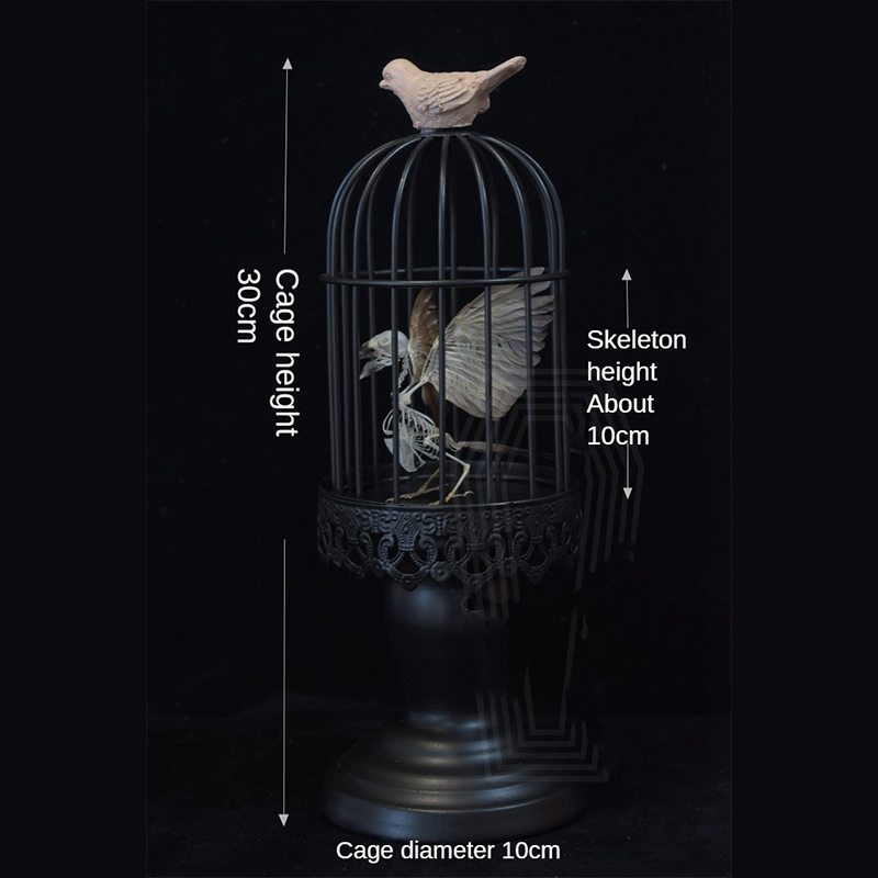 2001 Lifelike Avian Skeleton Replica Resin Cast Gothic Biology Study Non-Biological Specimen Dark Academia Decor Ethical