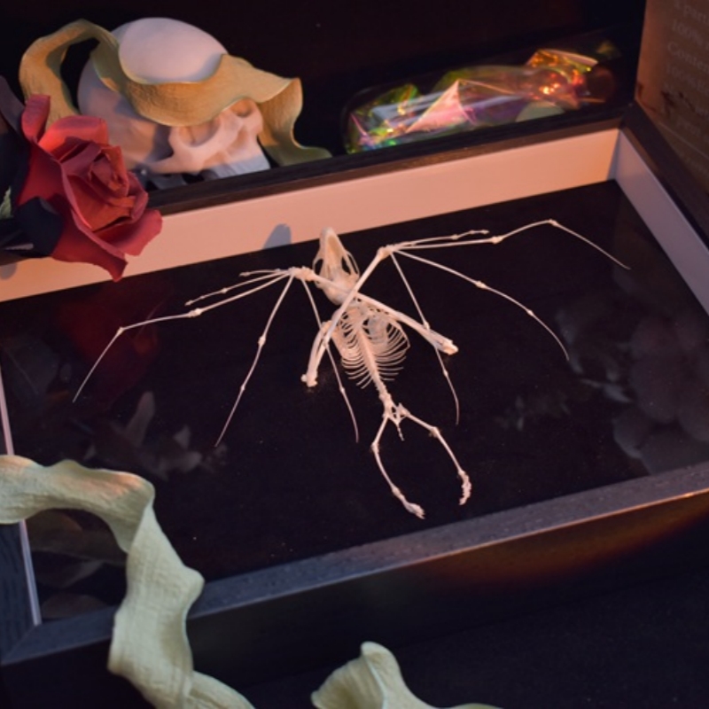 2126 Boutique series Bat Skeleton Art Wall Decor Gothic Home Display Frame Ethical Craft Non-Toxic Animal-Friendly Nocturnal Gothic Decor