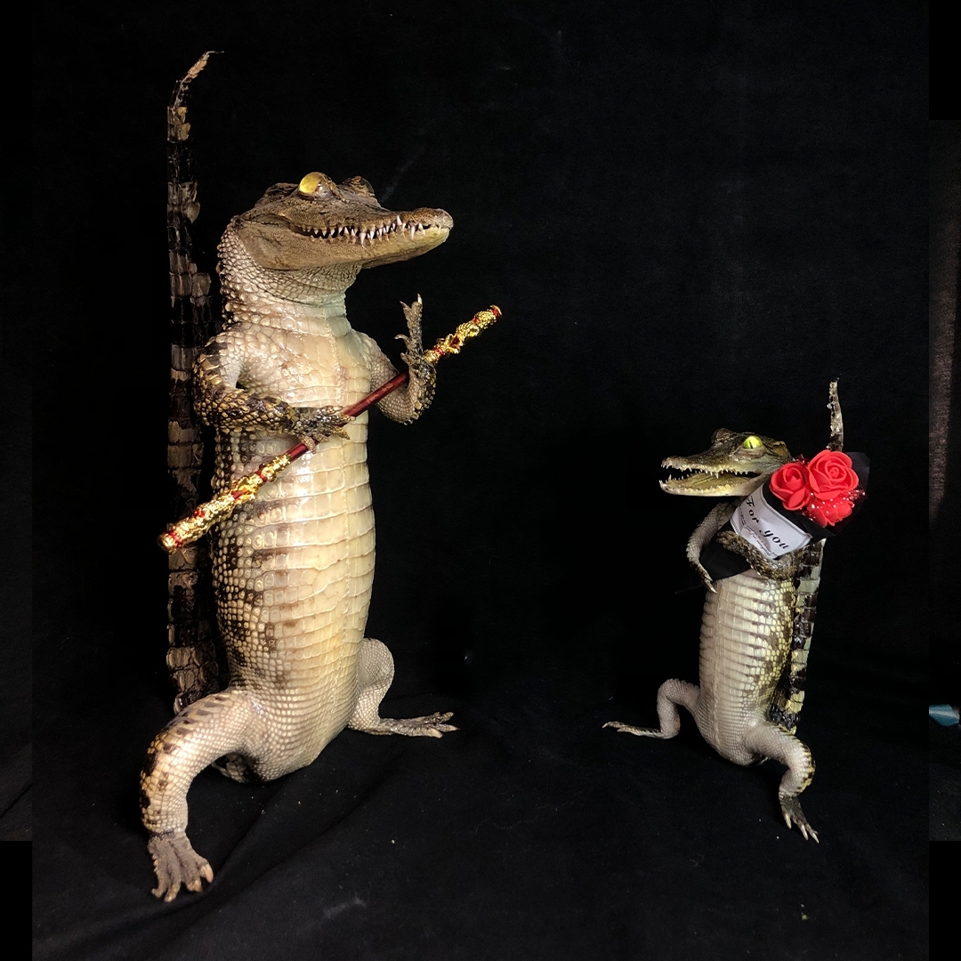 2200 Super 1M Crawling Crocodile Specimen Handmade Customized Dark Style Halloween Horror Resin Artwork Creative Birthday Gifts