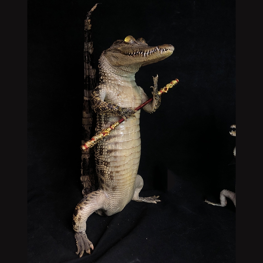 2200 Super 1M Crawling Crocodile Specimen Handmade Customized Dark Style Halloween Horror Resin Artwork Creative Birthday Gifts