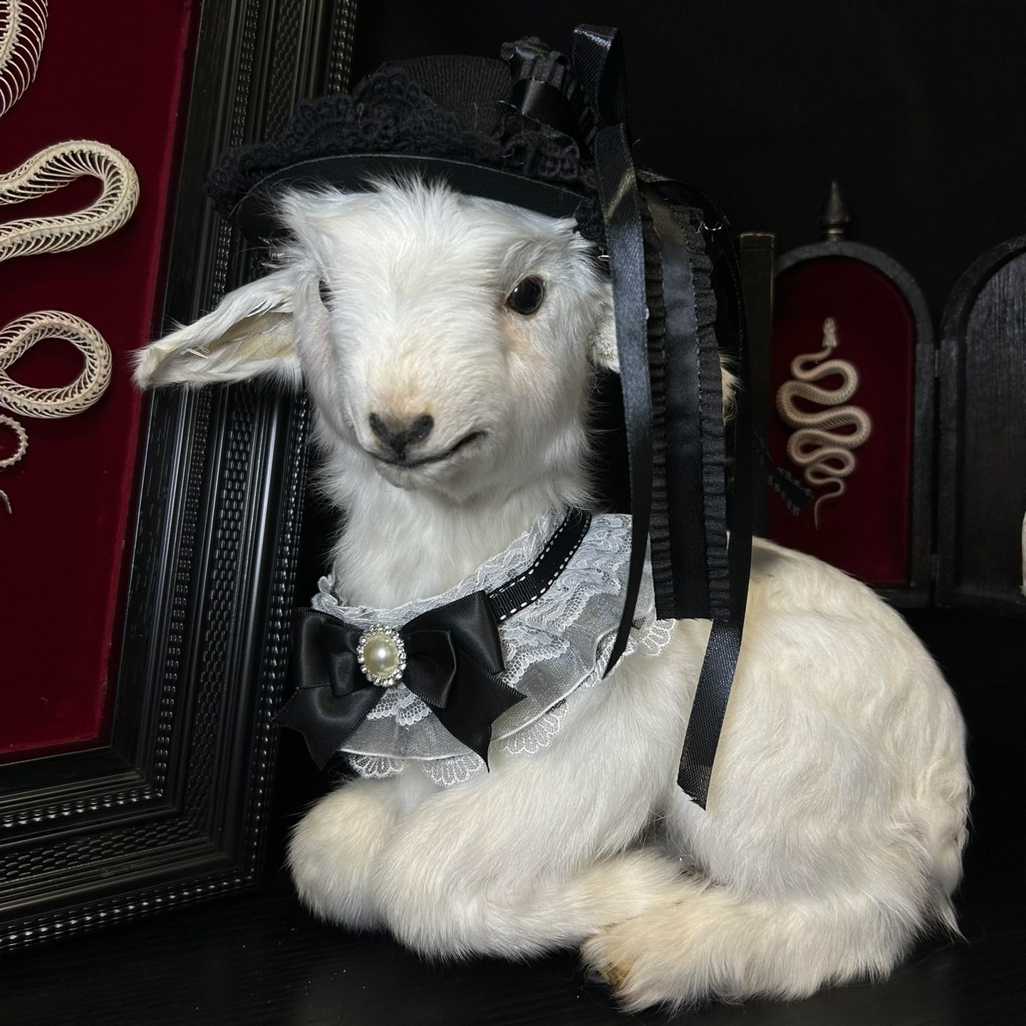 2121 Boutique series Handmade Sweet Lamb Taxidermy Display Gothic Farmhouse Decor Collector's Curio Odorless Global Express Creative Gift